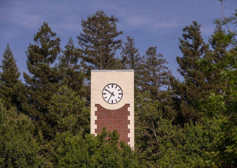 clock tower framed by trees